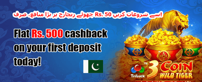 روزانہ ری لوڈ بونس promotion
